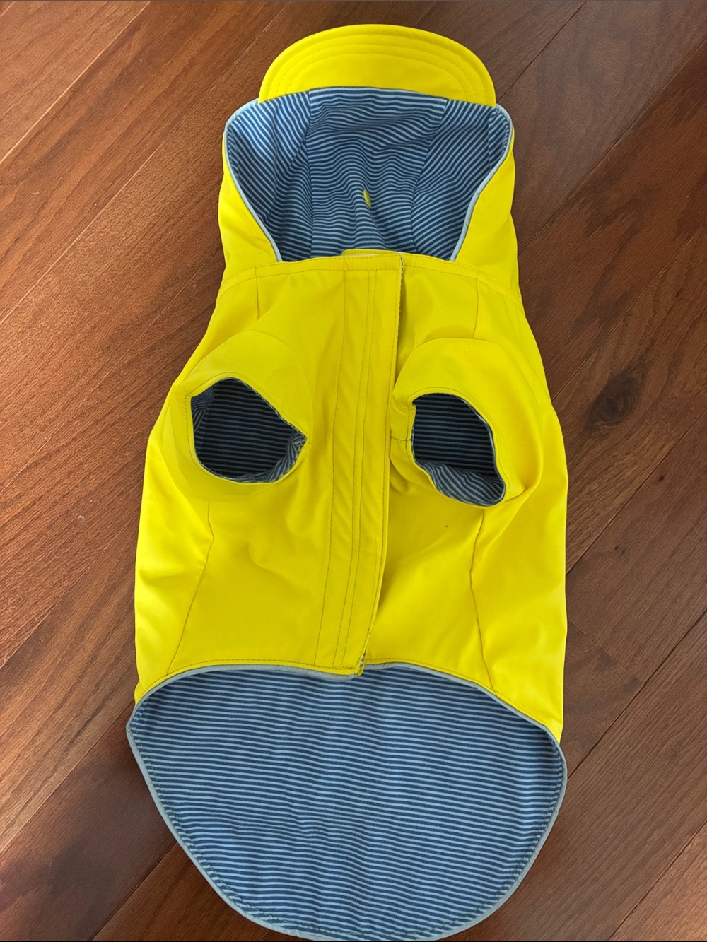 Doggy rain jacket